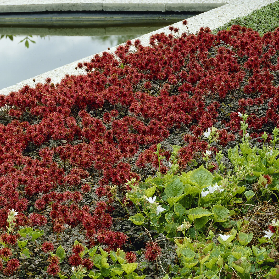 Produktbild 5