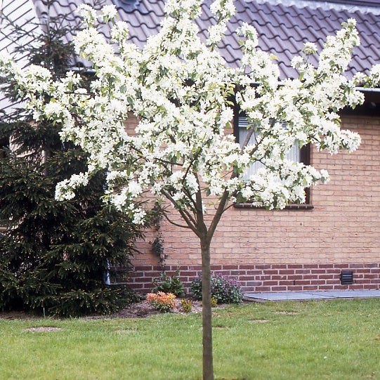 Produktbild 4