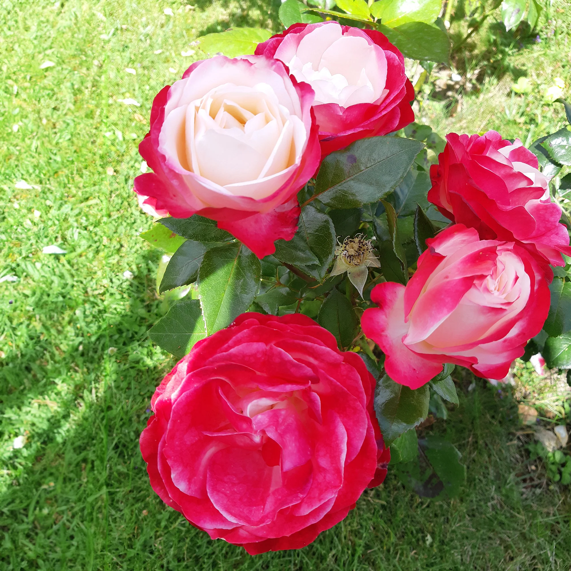 Vorschaubild 2