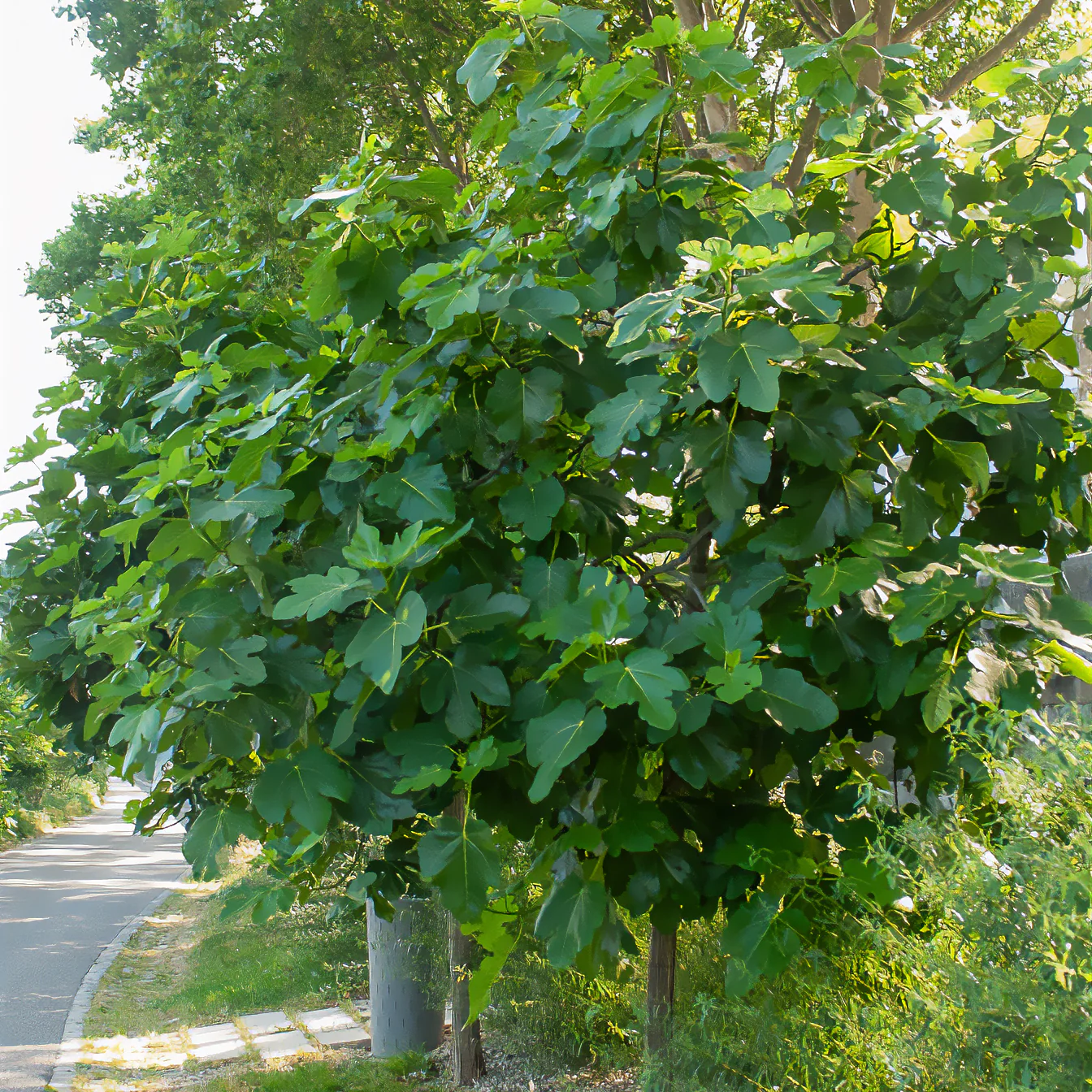 Vorschaubild 2