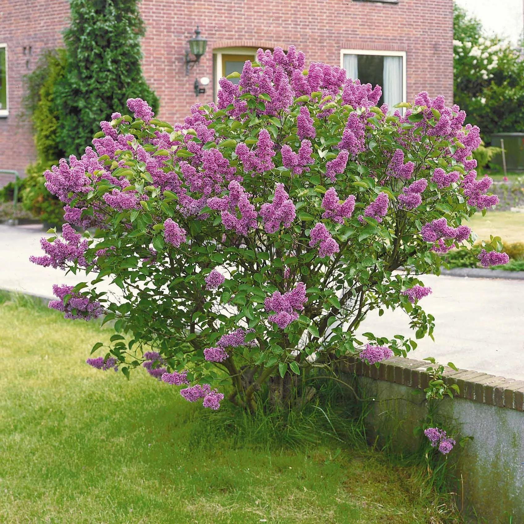 Produktbild 5
