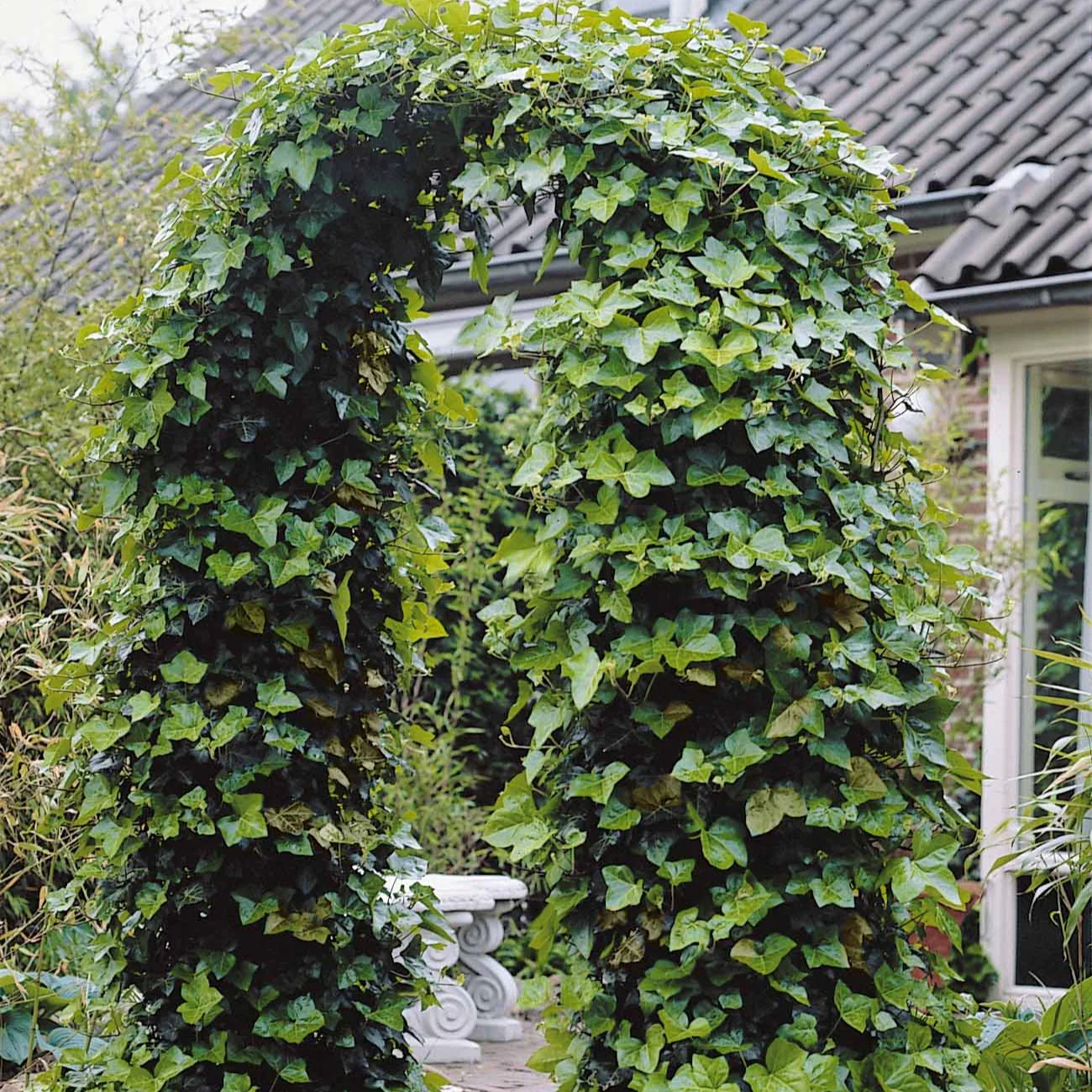 Vorschaubild 1