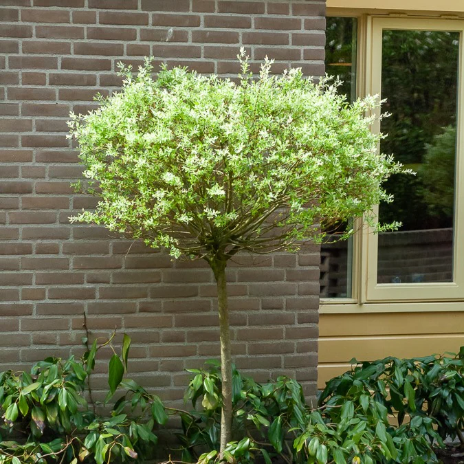 Produktbild 6