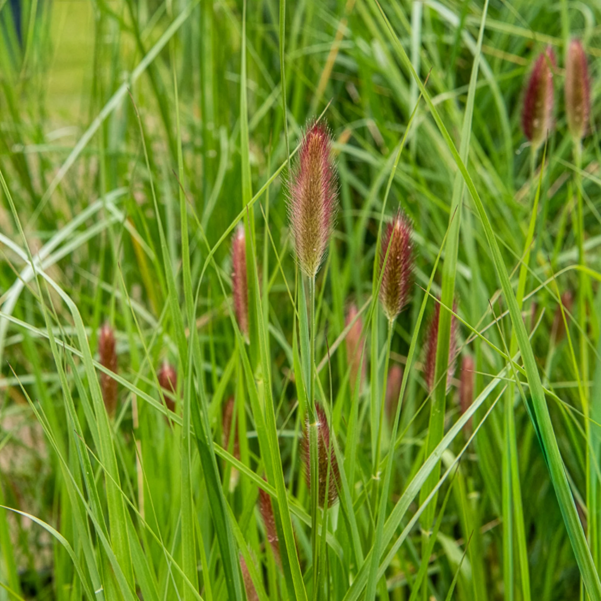 Produktbild 4