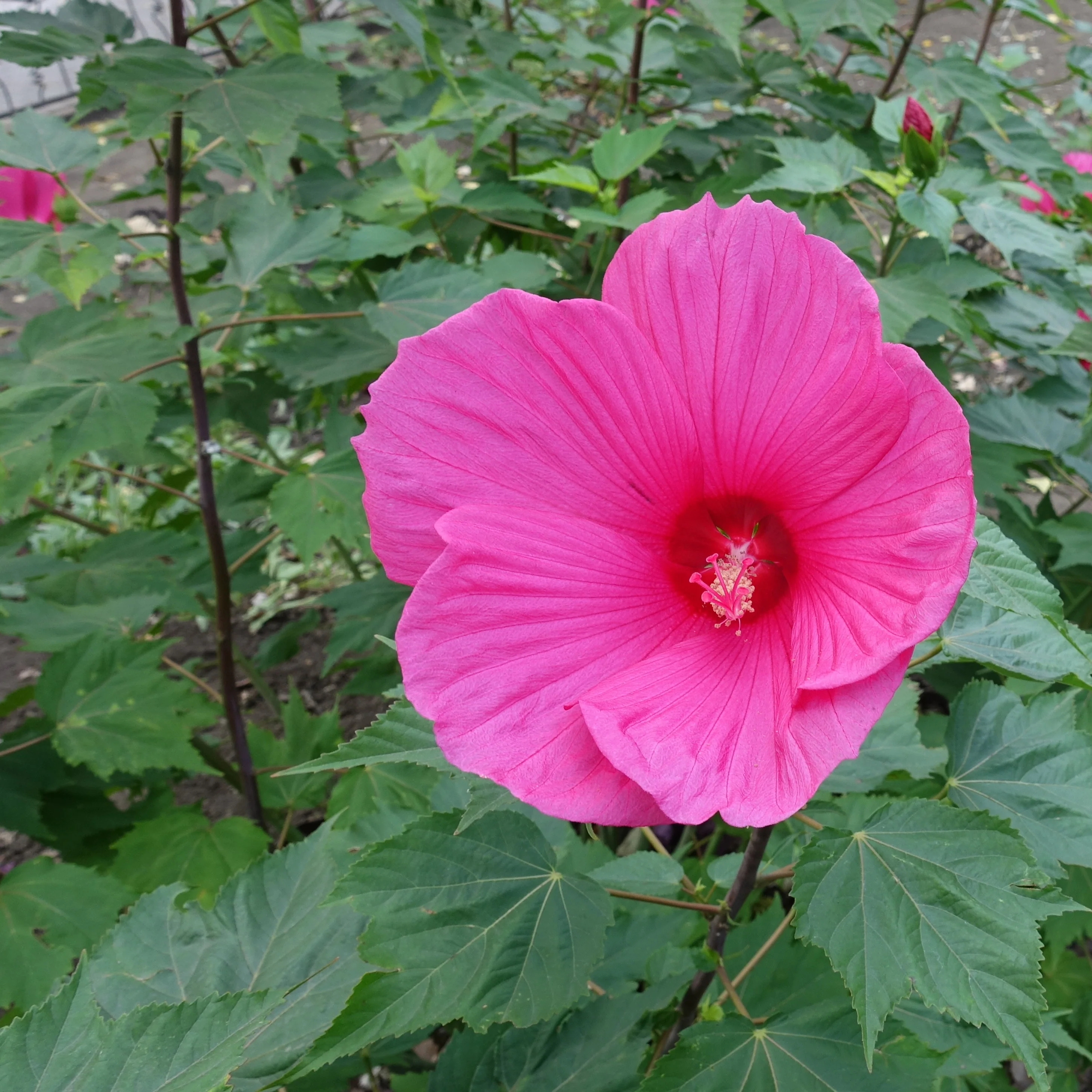 Vorschaubild 2