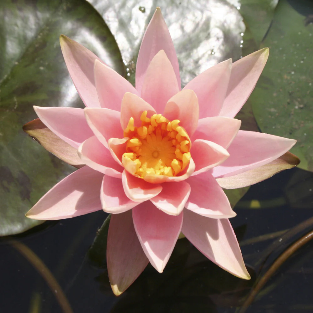 Produktbild 4