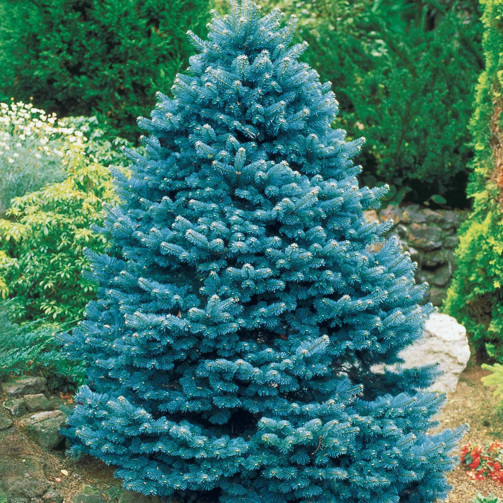 Produktbild 4