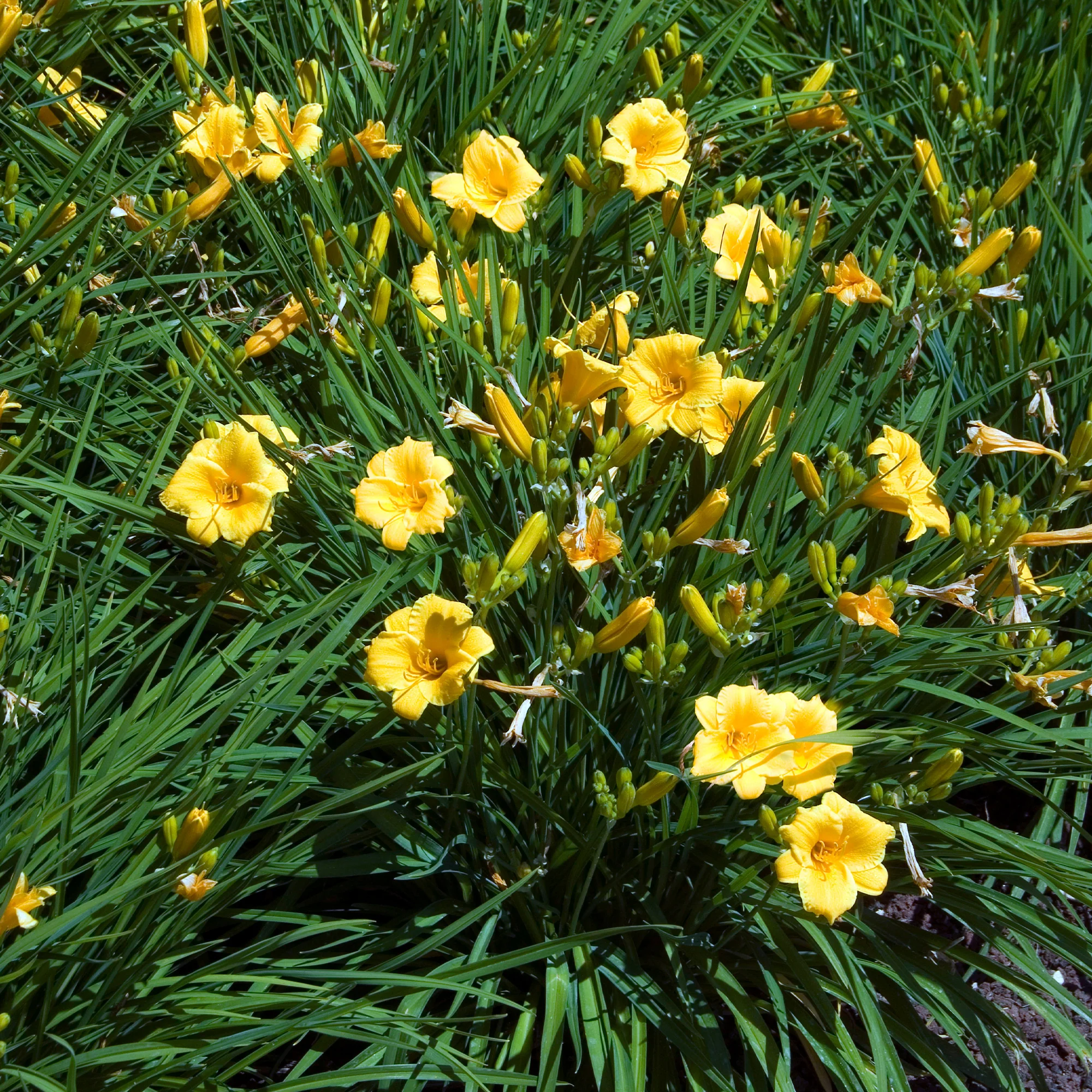Vorschaubild 1