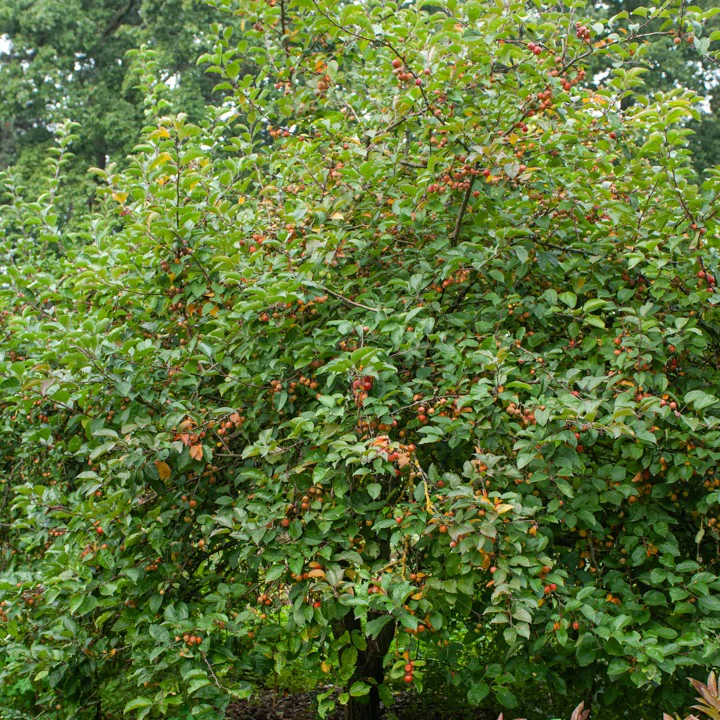 Produktbild 4